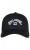 Arch Snapback