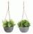 Planta artificiala in ghiveci suspendabil Pumila Verde / Gri, Modele Asortate, Ø10,5xH13 cm